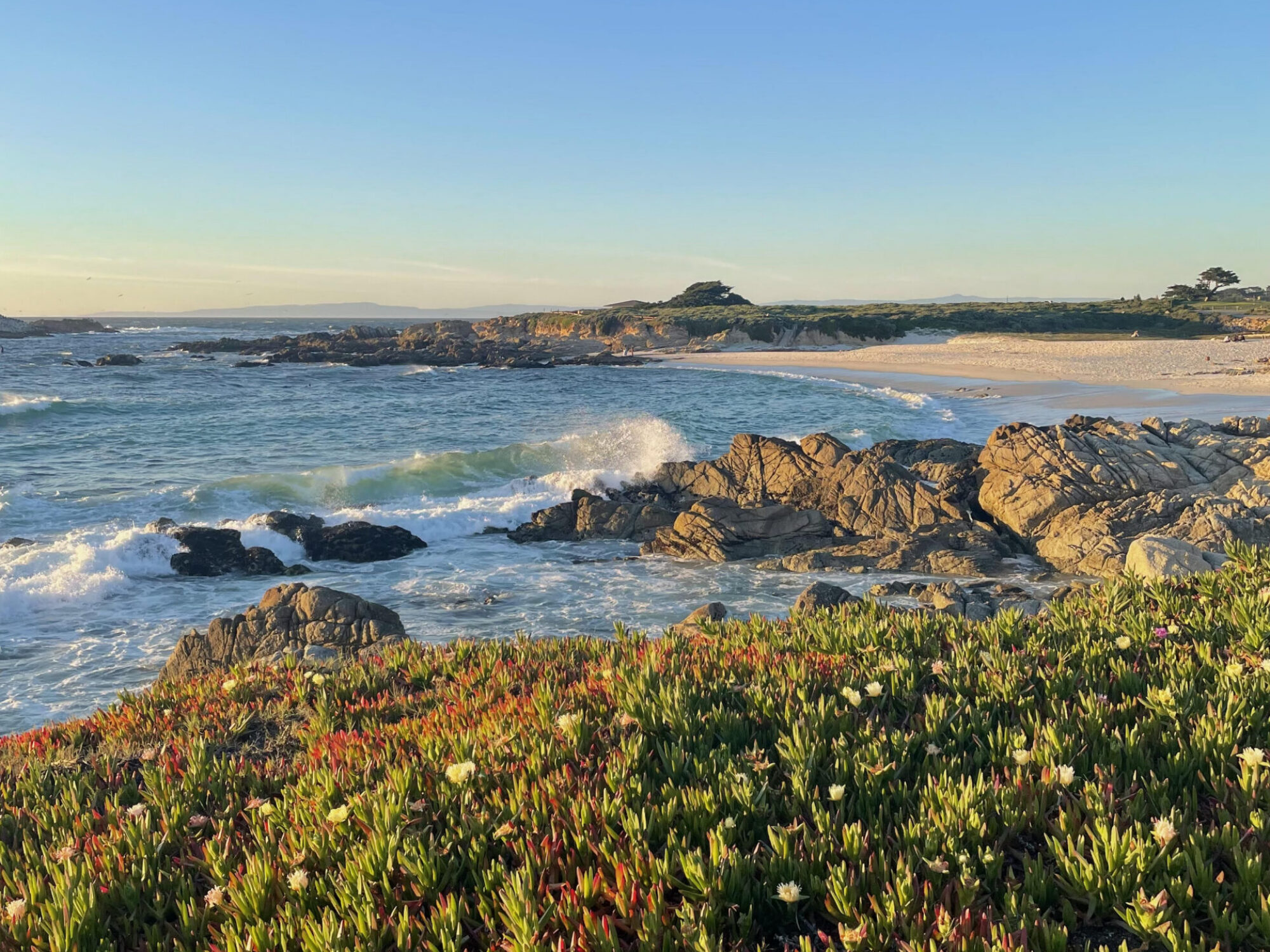 Image of beautiful beach during the day